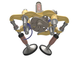 desmo